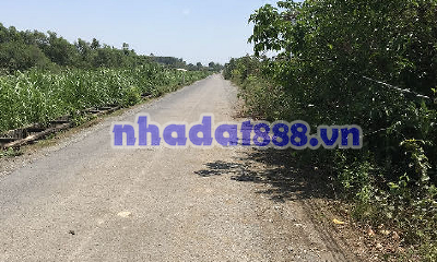 Bán đất đường 615 cao thị bèo Phước hiệp củ chi