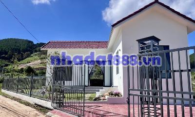 NHÀ VEN ĐÀ LẠT 188M² – BAO QUANH BỞI THÔNG XANH, PHÙ HỢP SỐNG CHẬM VÀ NGHỈ DƯỠNG