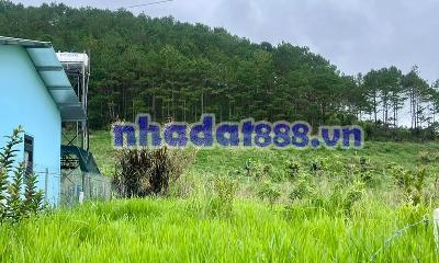 ĐẤT NAM BAN NGOẠI Ô ĐÀ LẠT – THỔ CƯ CAO – CẠNH ĐỒI THÔNG PHÙ HỢP NHÀ VƯỜN NGHỈ DƯỠNG