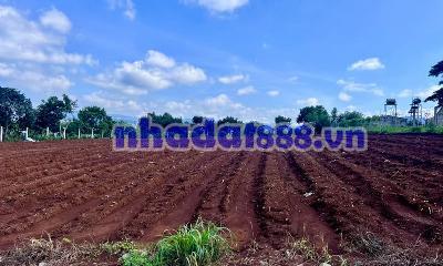 Bán Đất Nam Ban 502m² Thổ Cư 200m² – View Toàn Cảnh Nam Ban, Ngắm Trọn Tượng Phật Bà Từ Thế Đất Đẹp