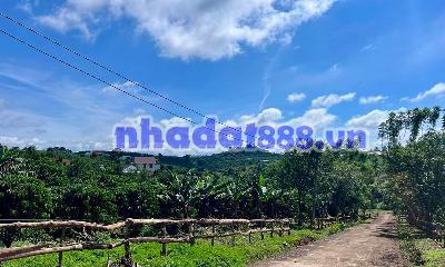 Bán Đất Nam Hà 1.000m² Hai Mặt Tiền – Có Sẵn Cà Phê Thu Hoạch, Không Gian Xanh Ven Đà Lạt