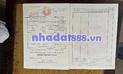 Đại hạ giá Âu cơ 7t200 chỉ còn 6t600