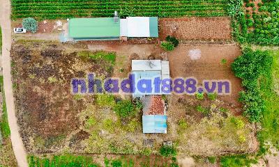 Cần Bán Đất Ven Đà Lạt 3.276m² Có 400m² Thổ Cư Mặt Tiền 41m, Phù Hợp Nhà Vườn
