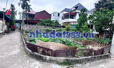 Bán Đất Đẹp Vĩnh Tuy- Văn Giang Hưng Yên