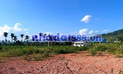 Cần Bán Đất 309m² Có 209m² Thổ Cư, 2 Mặt Tiền Giữa Thung Lũng Thông Xanh