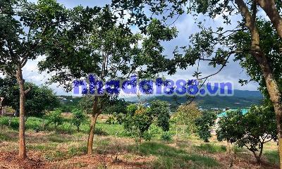 Cần Bán Đất 322m² Có 259m² Thổ Cư, Mặt Tiền 12m, Sẵn Hạ Tầng Xây Nhà