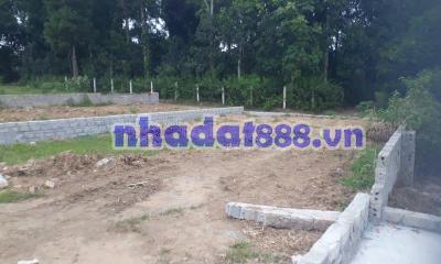 Bán đất chính chủ ở Tây Ninh