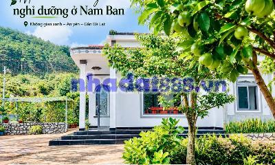 Cần Bán Nhà Đất 987m² Có Sẵn Nhà Cấp 4, Giáp Đồi Thông, Giá 4,7 Tỷ