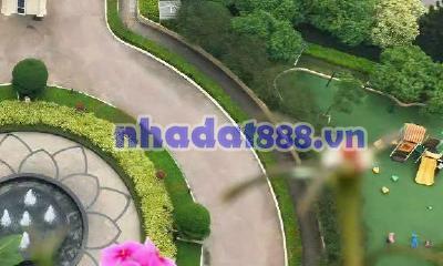 CHO THUÊ CHUNG CƯ CIPUTRA 143M- 30TR.